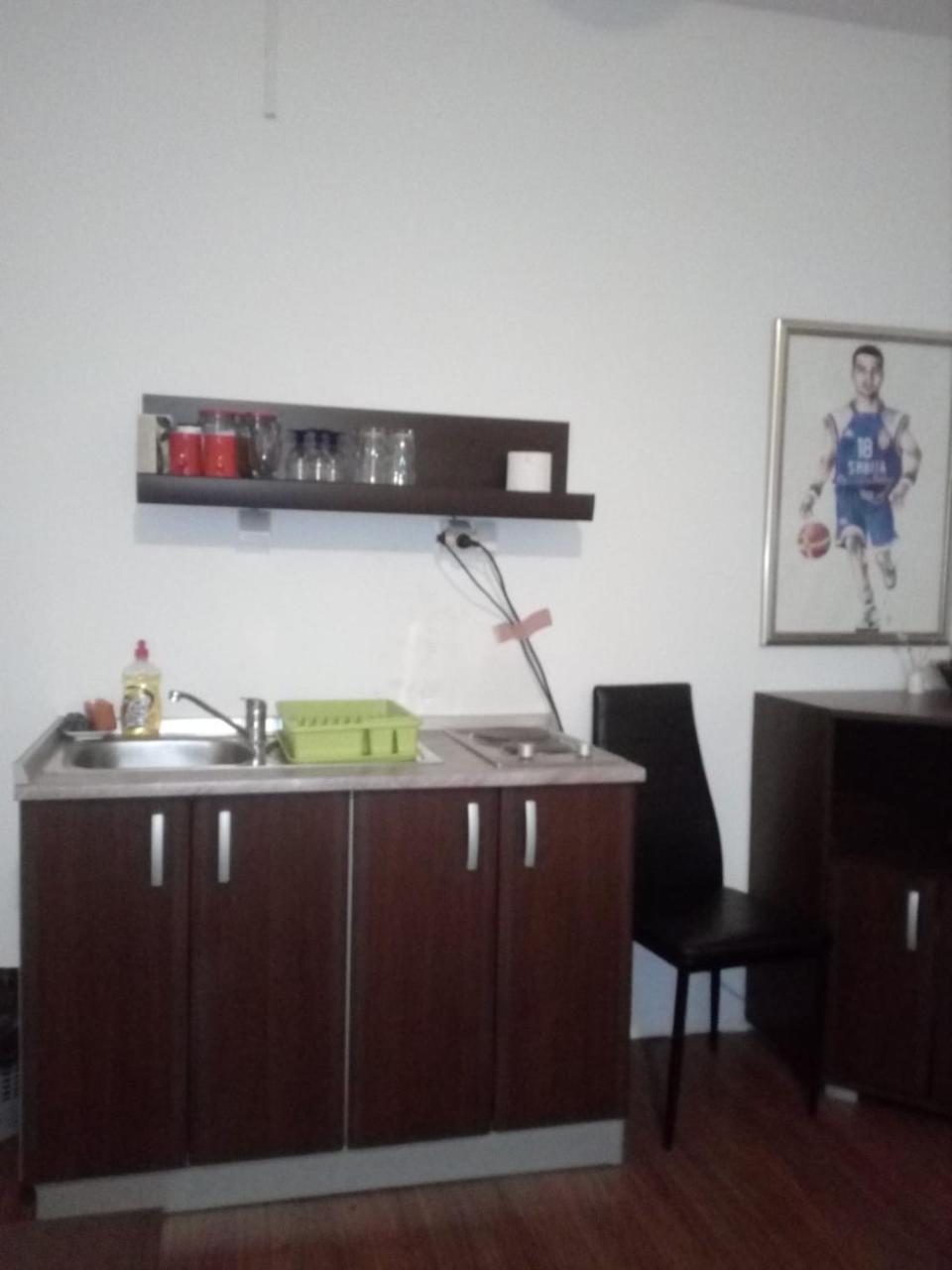 Apartment Viktor Stan Na Dan Sabac Luaran gambar